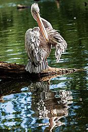 世嘉经典游戏《外星双傻》将改编电影 亚马逊负责